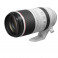 Canon RF 100-500mm f/4.5-7.1L IS USM