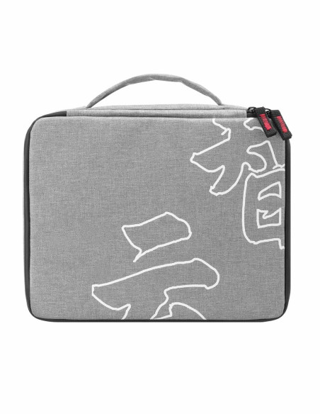 Antorcha Zhiyun Led LIGHT MOLUS X 100 Combo