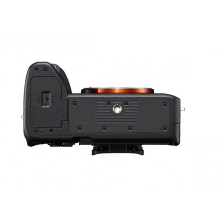 Sony A7 IV +FE 24-105 f4 Sony A7 IV +FE 24-105 f4