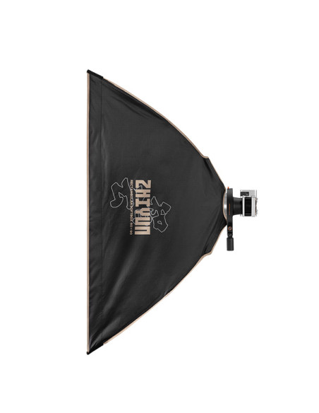 Antorcha Zhiyun MOLUS X60 RGB Pro