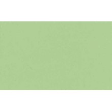 Fondo de Papel Lastolite  2,75X 11mts. Verde Cromakey  LA 9073