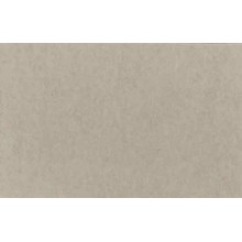 Fondo de Papel Lastolite  2,75X 11mts. Artic Gray LA 9012