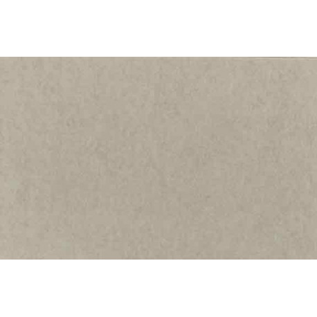 Fondo de Papel Lastolite  2,75X 11mts. Artic Gray LA 9012