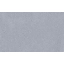 Fondo de Papel Lastolite  2,75X 11mts.  Pewter LA 9060