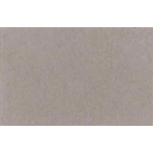 Fondo de Papel Lastolite  2,75X 11mts. Flint LA9026