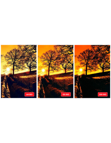 Pelicula HARMAN RED ISO125 Redscale...