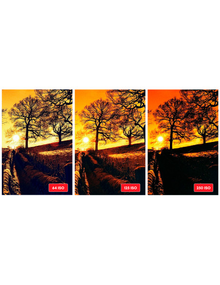 Pelicula HARMAN RED ISO125 Redscale 135mm-36 exp