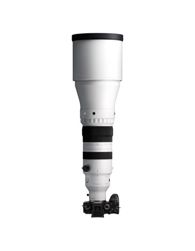 Sigma 300-600mm F4 DG OS Sports Sony E Sigma 300-600mm F4 DG OS Sports Sony E