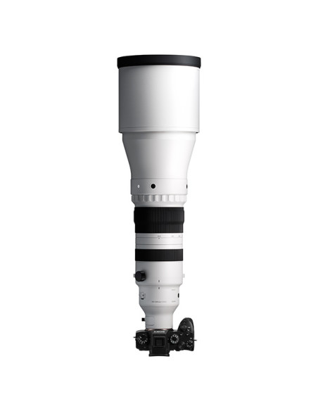 Sigma 300-600mm F4 DG OS Sports Sony E Sigma 300-600mm F4 DG OS Sports Sony E