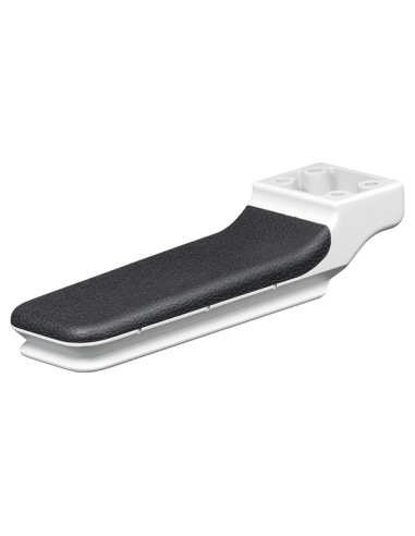 Sigma 300-600mm F4 DG OS Sports  L Mount Sigma 300-600mm F4 DG OS Sports  L Mount