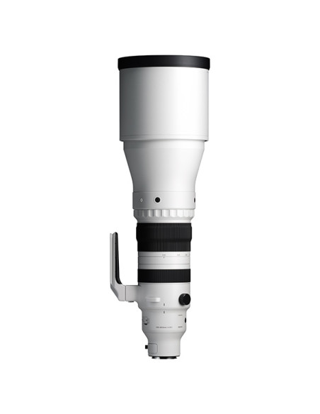 Sigma 300-600mm F4 DG OS Sports  L Mount Sigma 300-600mm F4 DG OS Sports  L Mount