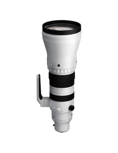 Sigma 300-600mm F4 DG OS Sports L Mount