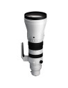 Sigma 300-600mm F4 DG OS Sports L Mount