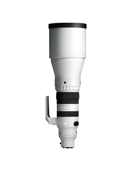Sigma 300-600mm F4 DG OS Sports L Mount Sigma 300-600mm F4 DG OS Sports L Mount