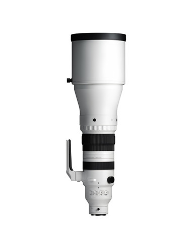 Sigma 300-600mm F4 DG OS Sports  L Mount Sigma 300-600mm F4 DG OS Sports  L Mount