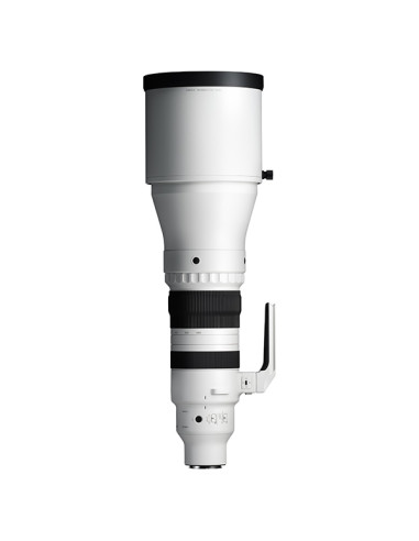 Sigma 300-600mm F4 DG OS Sports L Mount Sigma 300-600mm F4 DG OS Sports L Mount