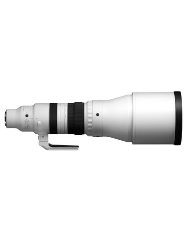Sigma 300-600mm F4 DG OS Sports  L Mount Sigma 300-600mm F4 DG OS Sports  L Mount