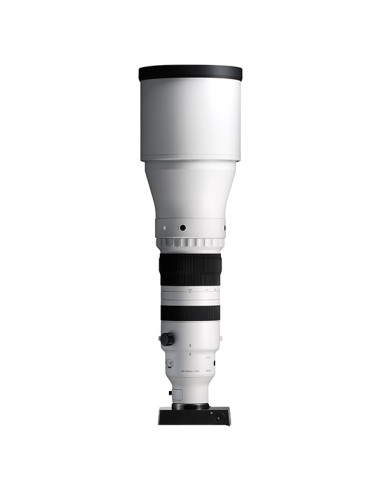 Sigma 300-600mm F4 DG OS Sports L Mount Sigma 300-600mm F4 DG OS Sports L Mount