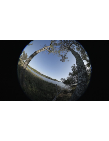 Objetivo Canon RF 7-14 mm f2,8-3,5 L Fisheye STM