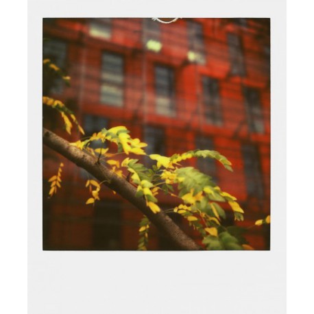 Pelicula instantanea Polaroid 600 Color doble pack