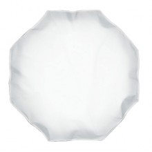 Profoto OCF  Beauty Disch 2