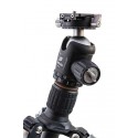 Kit trípode Leofoto LN-284CT + rótula NB-40
