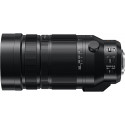  Panasonic Leica DG  Vario-Elmar 100-400mm, f4- 6,3 ASPH O.I.S.