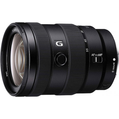 Sony E16-55 mm f2.8G