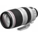 Canon EF 100-400mm f/4.5-5.6L IS II USM